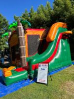 Tropical Paradise Slide Combo Wet/Dry - Image 2