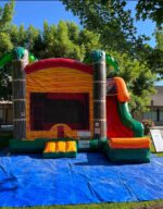 Tropical Paradise Slide Combo Wet/Dry